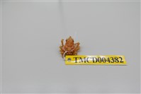 藏品(帶刺併額蟹)的圖片